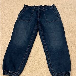 J Crew Dark Blue Denim Jogger Pants